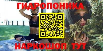спиды Аша
