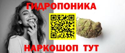 ALPHA PVP Ачхой-Мартан
