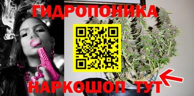 ALPHA PVP Ачхой-Мартан