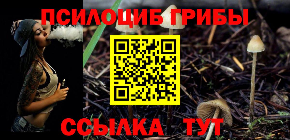 Псилоцибиновые грибы Psilocybine cubensis Ахтубинск